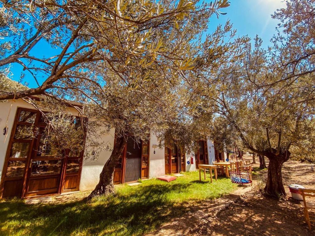 Yiva Kazdaglari Hotel Mehmetalani Exterior photo